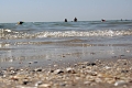 Hotel Trevi, Lido di Jesolo
